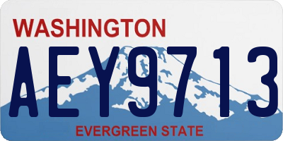 WA license plate AEY9713