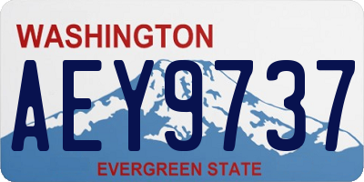 WA license plate AEY9737