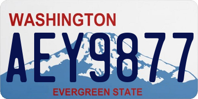 WA license plate AEY9877