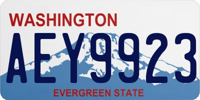 WA license plate AEY9923