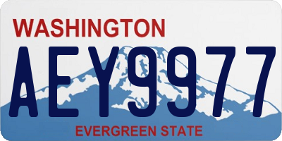 WA license plate AEY9977