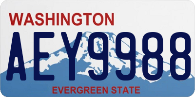 WA license plate AEY9988