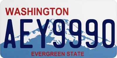 WA license plate AEY9990