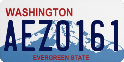 WA license plate AEZ0161