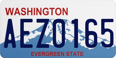 WA license plate AEZ0165
