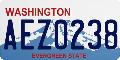 WA license plate AEZ0238