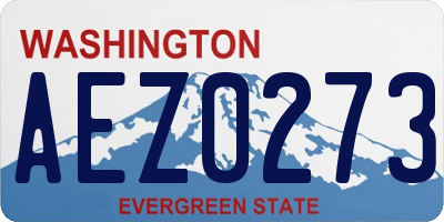 WA license plate AEZ0273