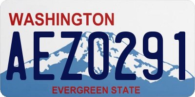 WA license plate AEZ0291