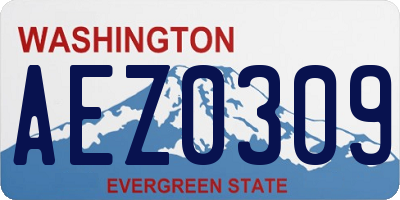 WA license plate AEZ0309
