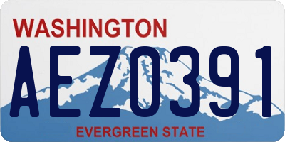 WA license plate AEZ0391