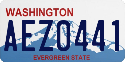 WA license plate AEZ0441