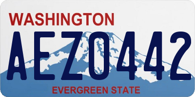 WA license plate AEZ0442