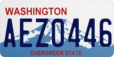 WA license plate AEZ0446