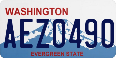 WA license plate AEZ0490