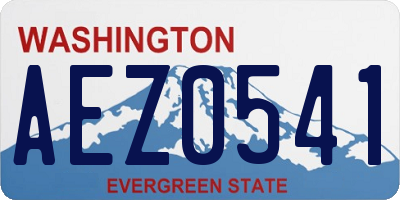 WA license plate AEZ0541