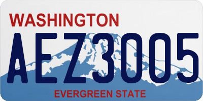 WA license plate AEZ3005