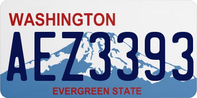 WA license plate AEZ3393