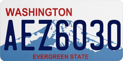 WA license plate AEZ6030