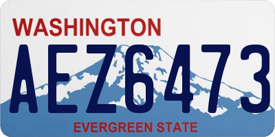 WA license plate AEZ6473