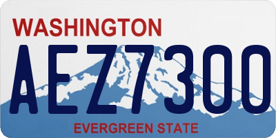 WA license plate AEZ7300