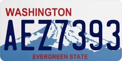 WA license plate AEZ7393