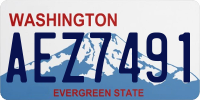 WA license plate AEZ7491