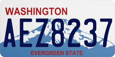 WA license plate AEZ8237