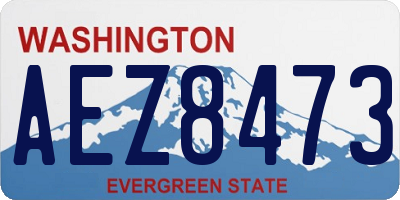 WA license plate AEZ8473