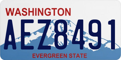 WA license plate AEZ8491