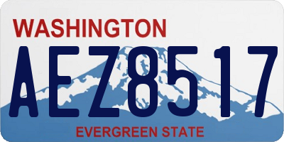 WA license plate AEZ8517