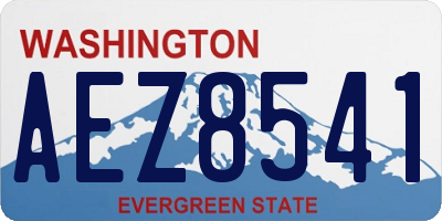 WA license plate AEZ8541