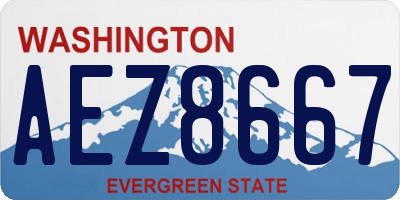 WA license plate AEZ8667