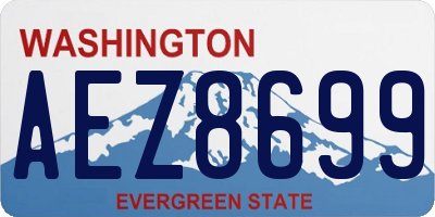 WA license plate AEZ8699