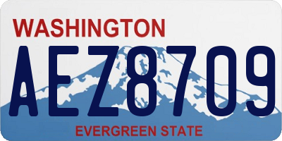 WA license plate AEZ8709