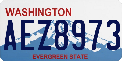 WA license plate AEZ8973