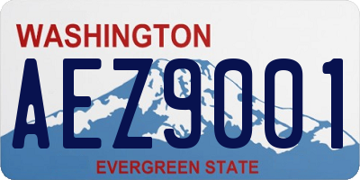 WA license plate AEZ9001