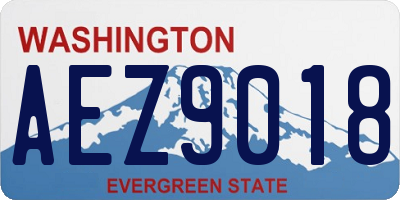 WA license plate AEZ9018
