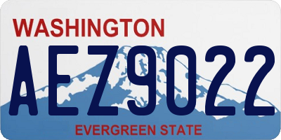 WA license plate AEZ9022