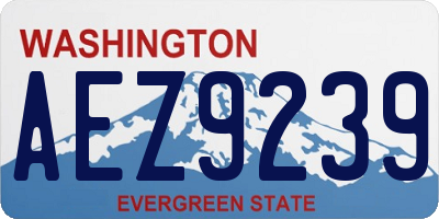 WA license plate AEZ9239