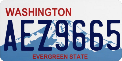 WA license plate AEZ9665