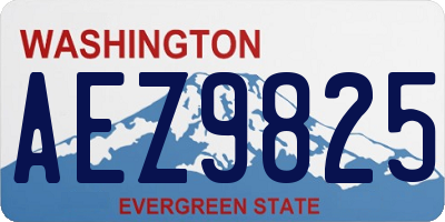WA license plate AEZ9825