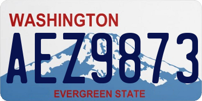 WA license plate AEZ9873