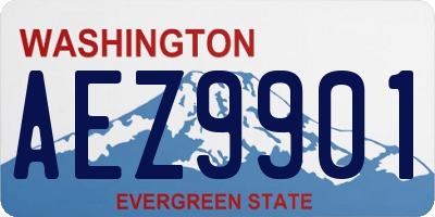 WA license plate AEZ9901