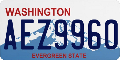 WA license plate AEZ9960