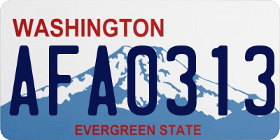WA license plate AFA0313