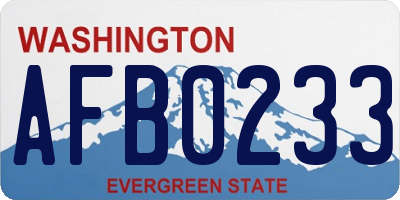WA license plate AFB0233