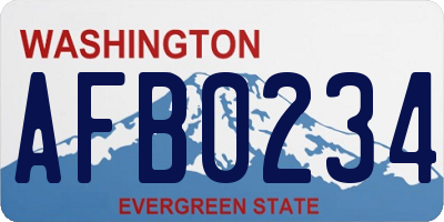 WA license plate AFB0234
