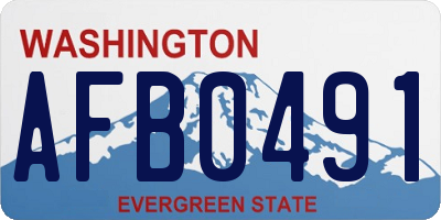 WA license plate AFB0491