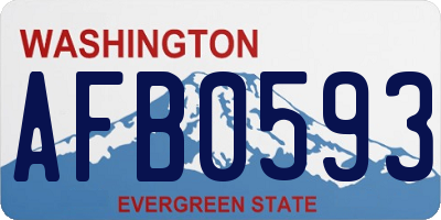 WA license plate AFB0593
