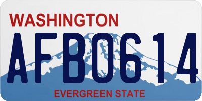 WA license plate AFB0614